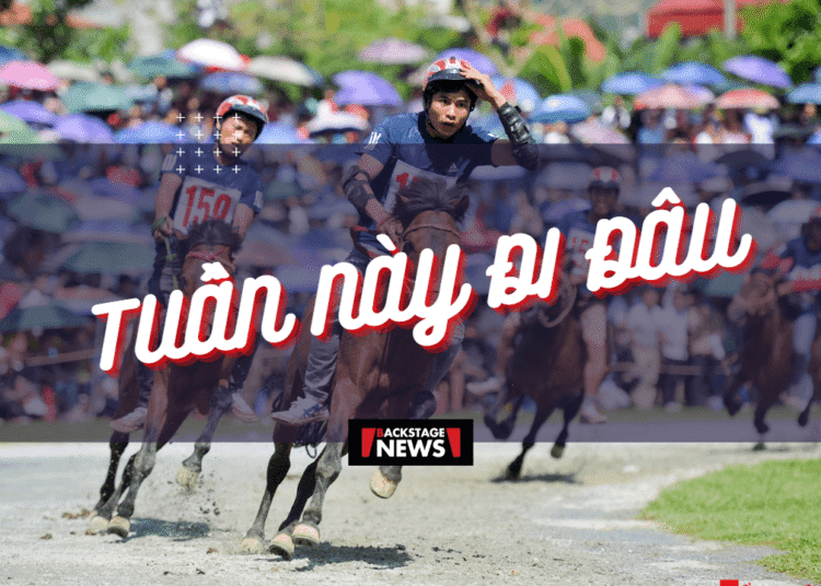 Tuần Này Đi Đâu – Các sự kiện diễn ra trong nửa đầu tháng 6/2023