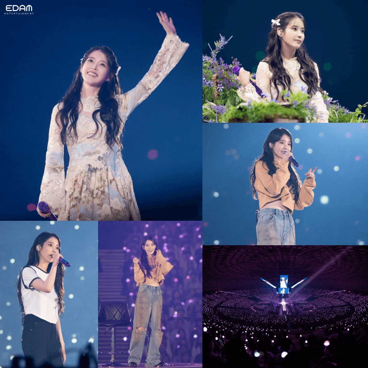 IU fan concert