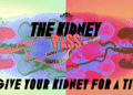 The Kidney Pass